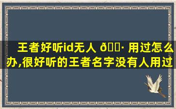 王者好听id无人 🕷 用过怎么办,很好听的王者名字没有人用过的